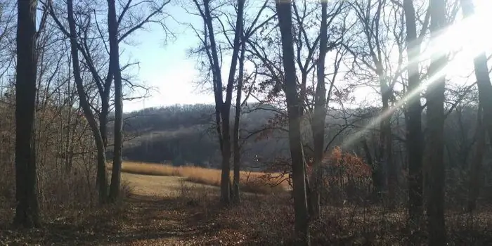 солнцестояниекладбище2017