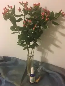 Звонок в счастливых домашних энергиях на праздники