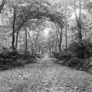 Расхламление для души Самайна: День 5. Ритуал