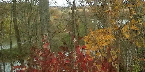 Краски осени в Индиане