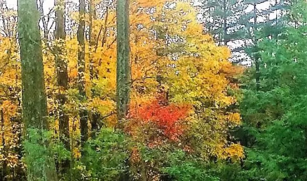 Осень в Индиане