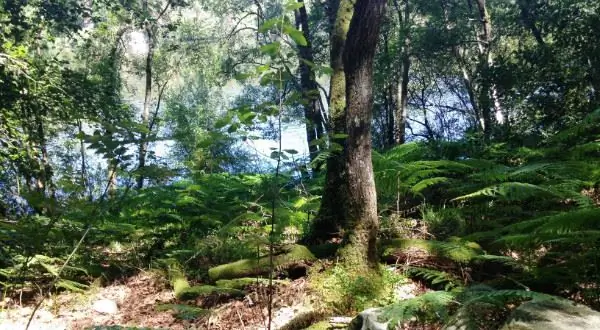 Фото Вивиан Кроули