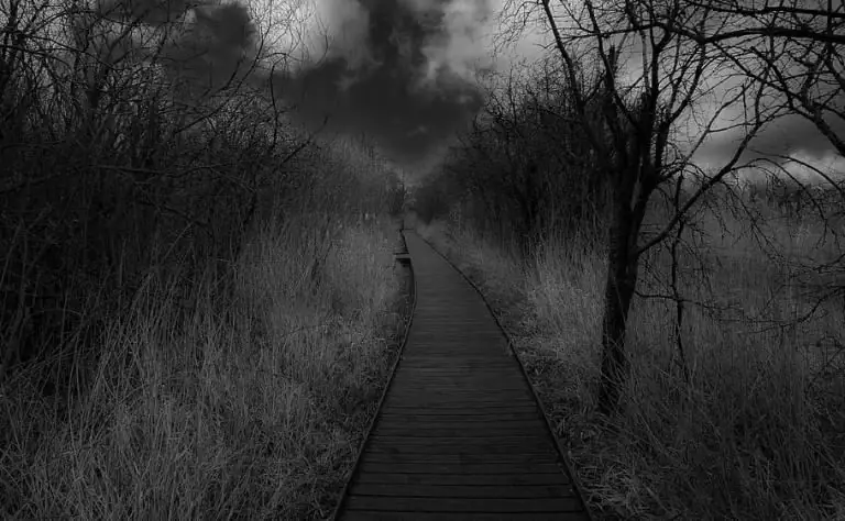 8 способов справиться с этим дерьмовым, дерьмовым временем