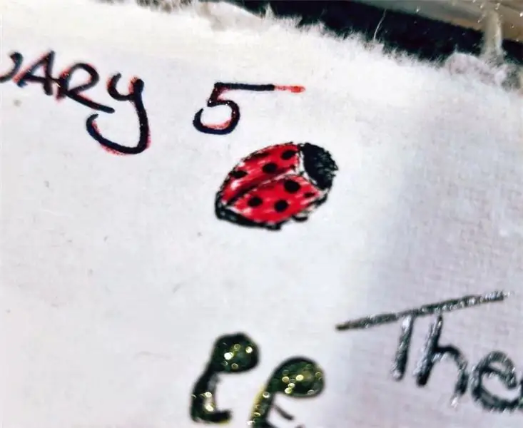 нарисованная от руки божья коровка под половиной текста: 5 января