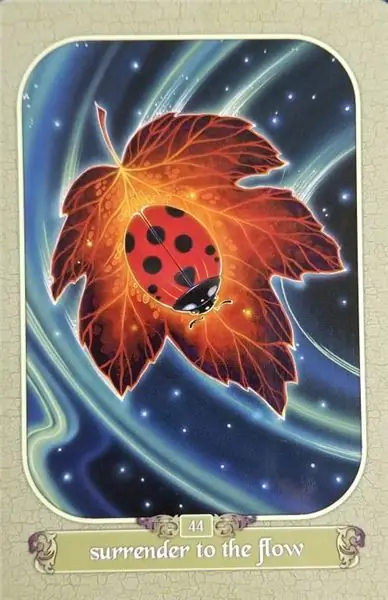 божья коровка плывет по реке, а лист ее лодка