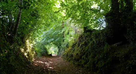 Извилистая тропа в Бретани