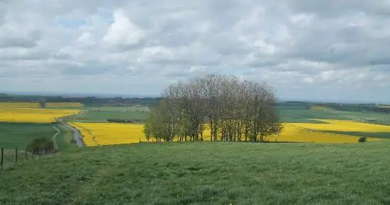 Что делает для нас природа? - Озеленение духа