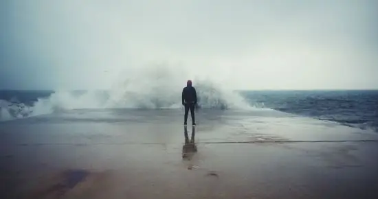 Правообладатель иллюстрации GaudiLab, предоставлено Shutterstock