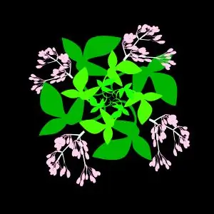 Листья-и-цветы-03-2400px