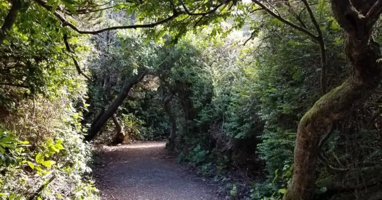 Советы начинающим магам