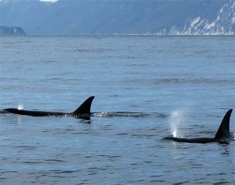 Во славу пожилой женщины