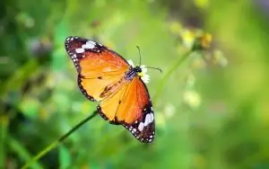 трансформировать