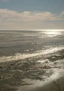 Тихий океан из поезда