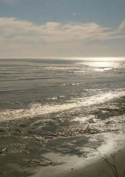 Причины жить, причины бороться