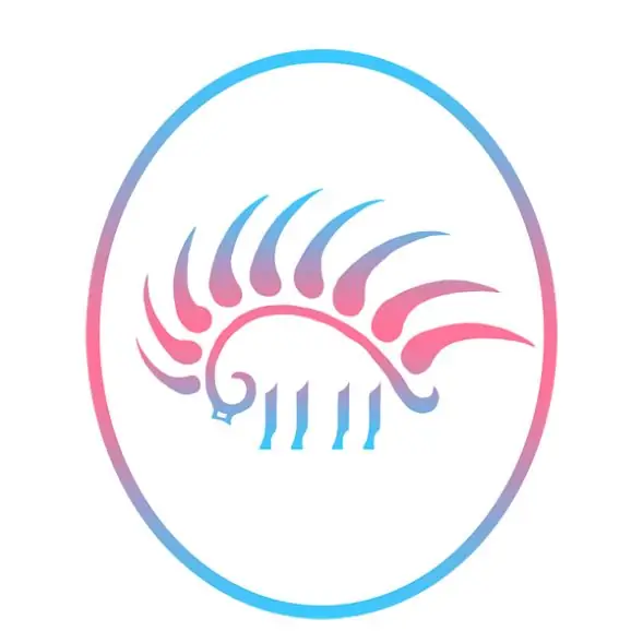 Быть трансгендером и язычником