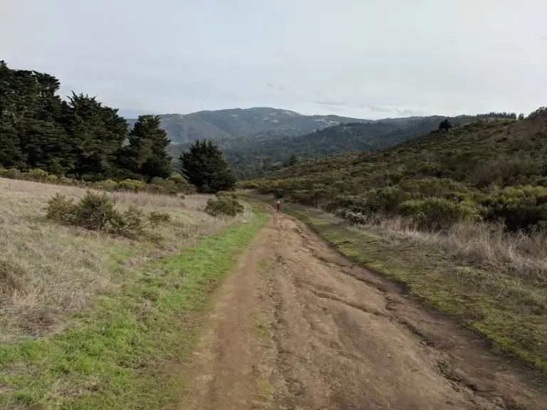 Далекая фигура вниз по тропе на травянистом склоне холма