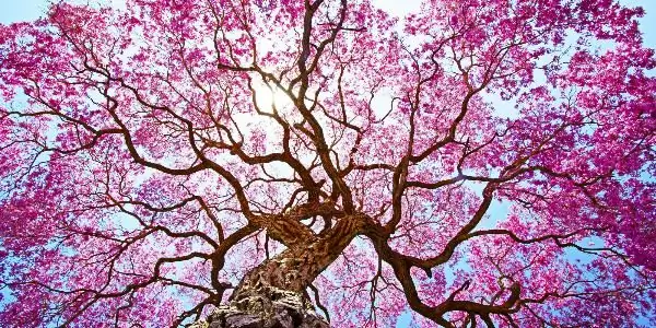 Изображение предоставлено Shutterstock