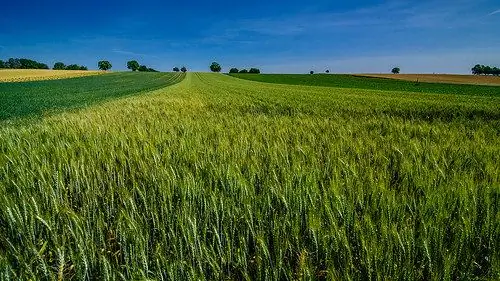фото предоставлено: DSC_3167-16 через фотопин (лицензия)