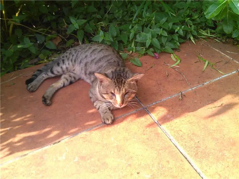 Анатомия духа места