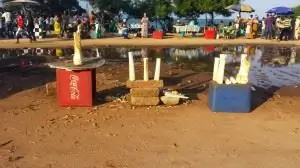 сердце пальмы