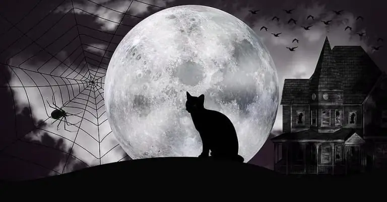 Witchy Ambience Music: Звуки для волшебной среды