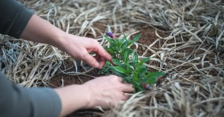 Чувствуете, что застряли? Просто сделай что-нибудь волшебное