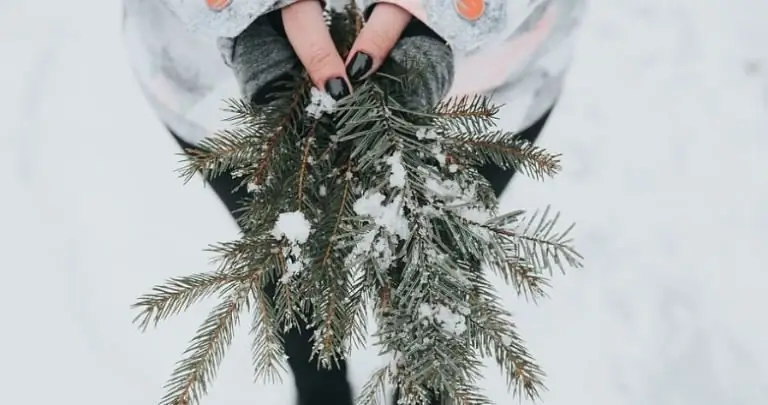 Да будет тьма: ведь сегодня зимнее солнцестояние