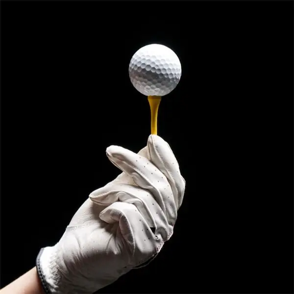 Что вызывает суматоху в Pro-Golf? Недобросовестные принципы