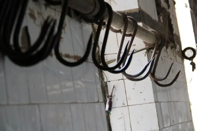 Являются ли животные равными людям? - Кофе & Распятие