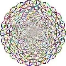 Сканирование моей ДНК