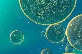 Уроки истоков жизни