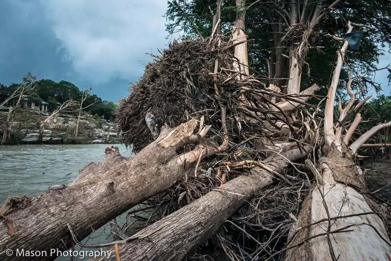 Может быть, так выглядит божественное