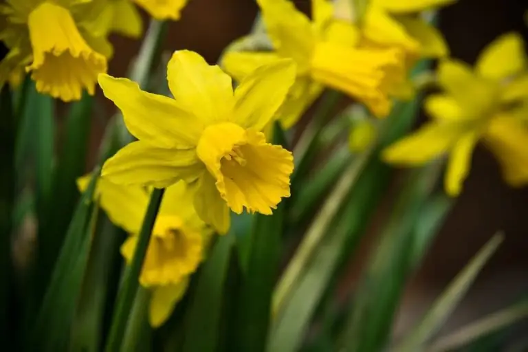 Тринитарная духовность - серия из трех блогов