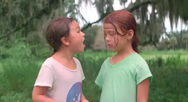 Флорида-проект