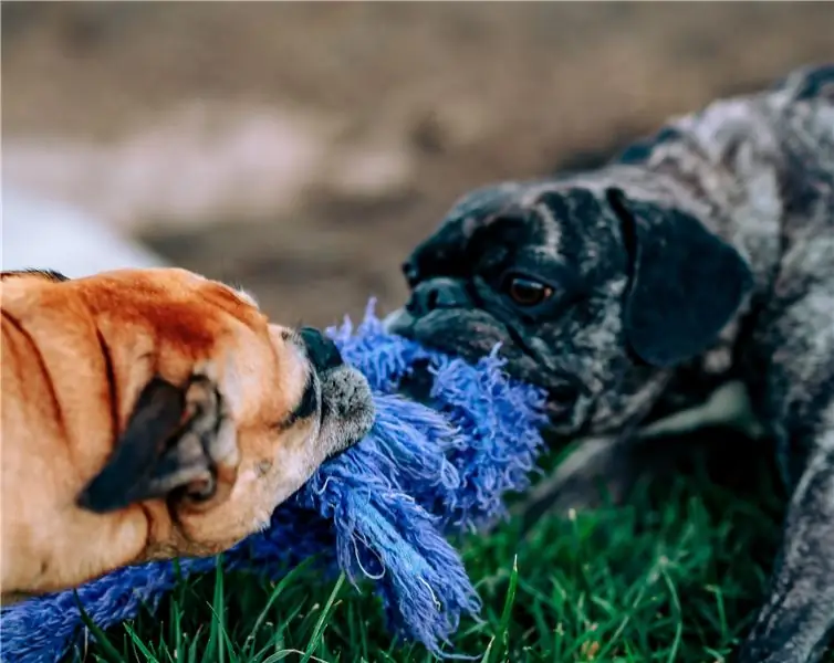 Проницательность друзей и врагов