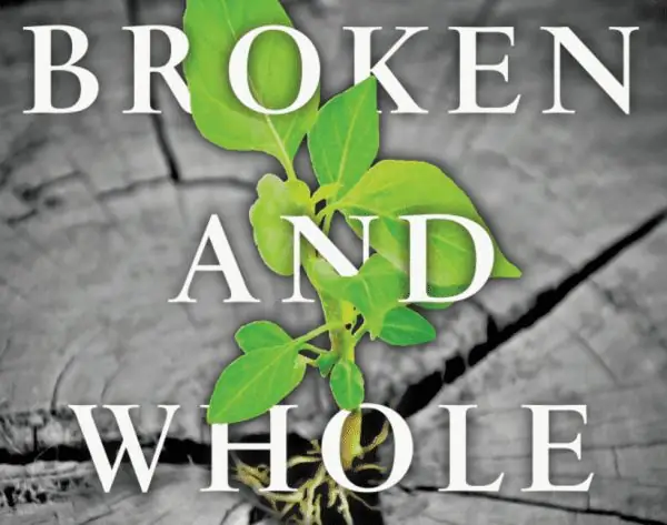 Снимок экрана 2016-05-15 в 23:47:02