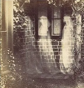 321b70291fe8bb4a8f20b87d789c515e