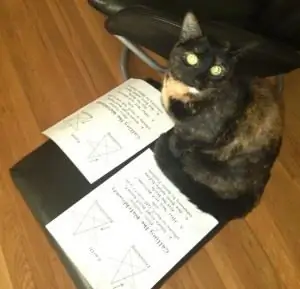 131368_10151196844878232_812066748_о