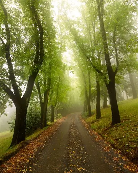 "The Everywhere Dance": вечное воплощенное присутствие Бога среди нас