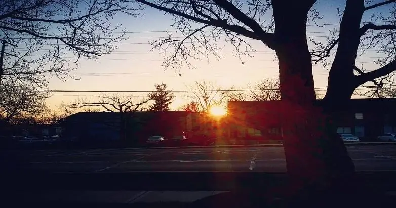 Илия, усталый пророк: вечный ветхозаветный рассказ о надежде посреди запустения