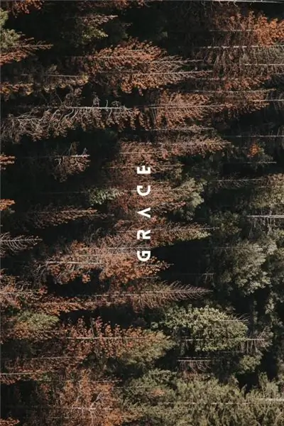 Непостижимая благодать