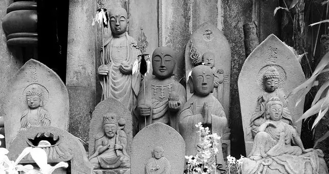 Что такое лоджонг?