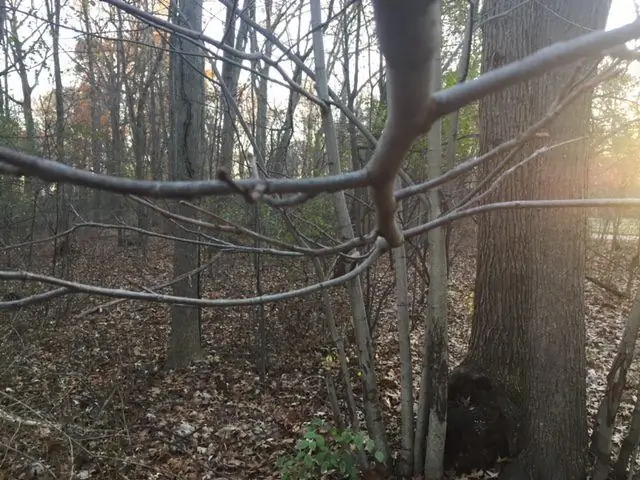 Построение религиозной практики с землей