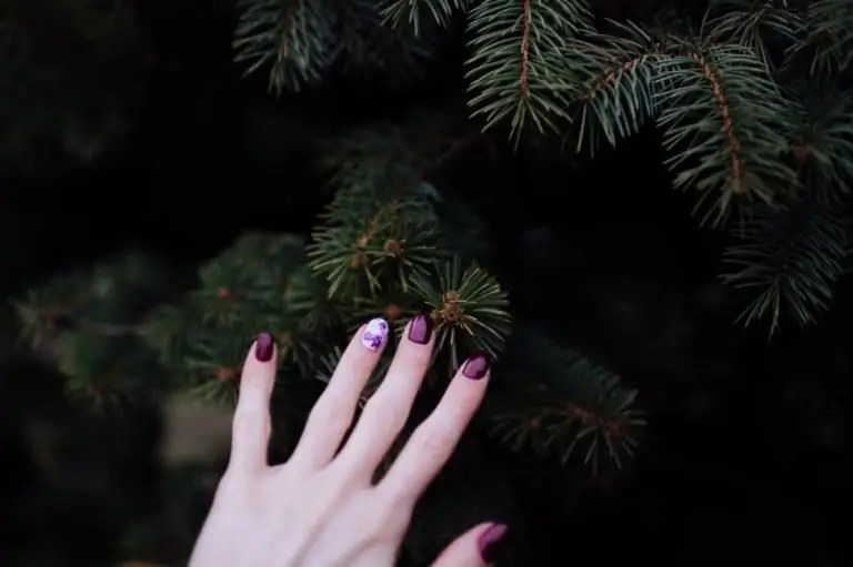 Изображение Изображение