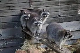 Я был незнакомцем