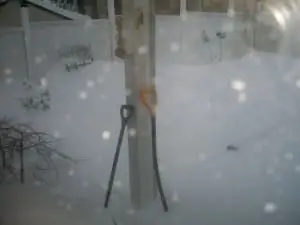 снег 004 снег 004