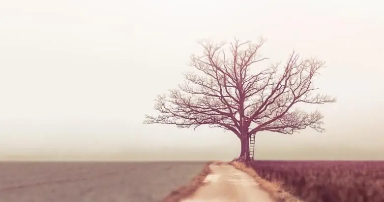 24 Учителя мудрости, изменившие мою жизнь