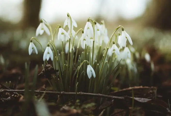 Найти счастье даже в трудные времена: мое интервью с нейрохирургом доктором Ли Уоррен