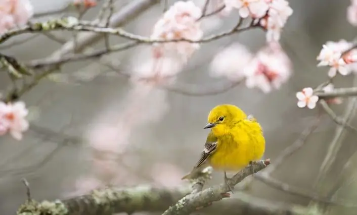 Поощрение тех, кто чувствует, что потерял надежду
