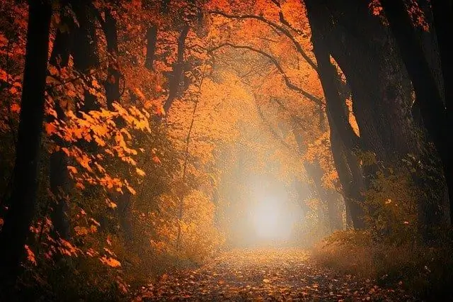 Самое волшебное путешествие